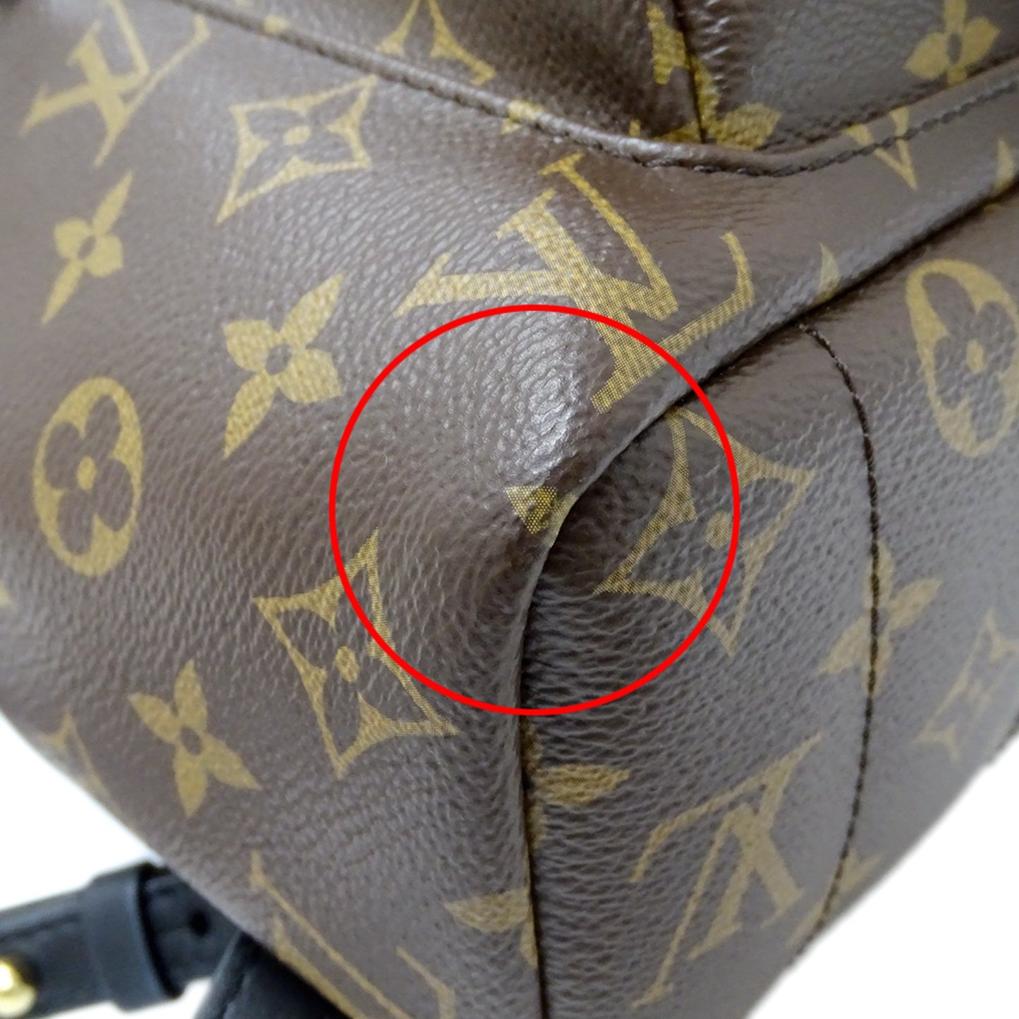 Louis Vuitton Monogram Palm Springs Backpack Mm M41561 Brown