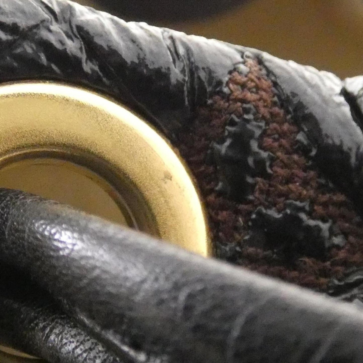 Louis Vuitton Monogram Elvinyl Squeeze Shoulder Bag M95259