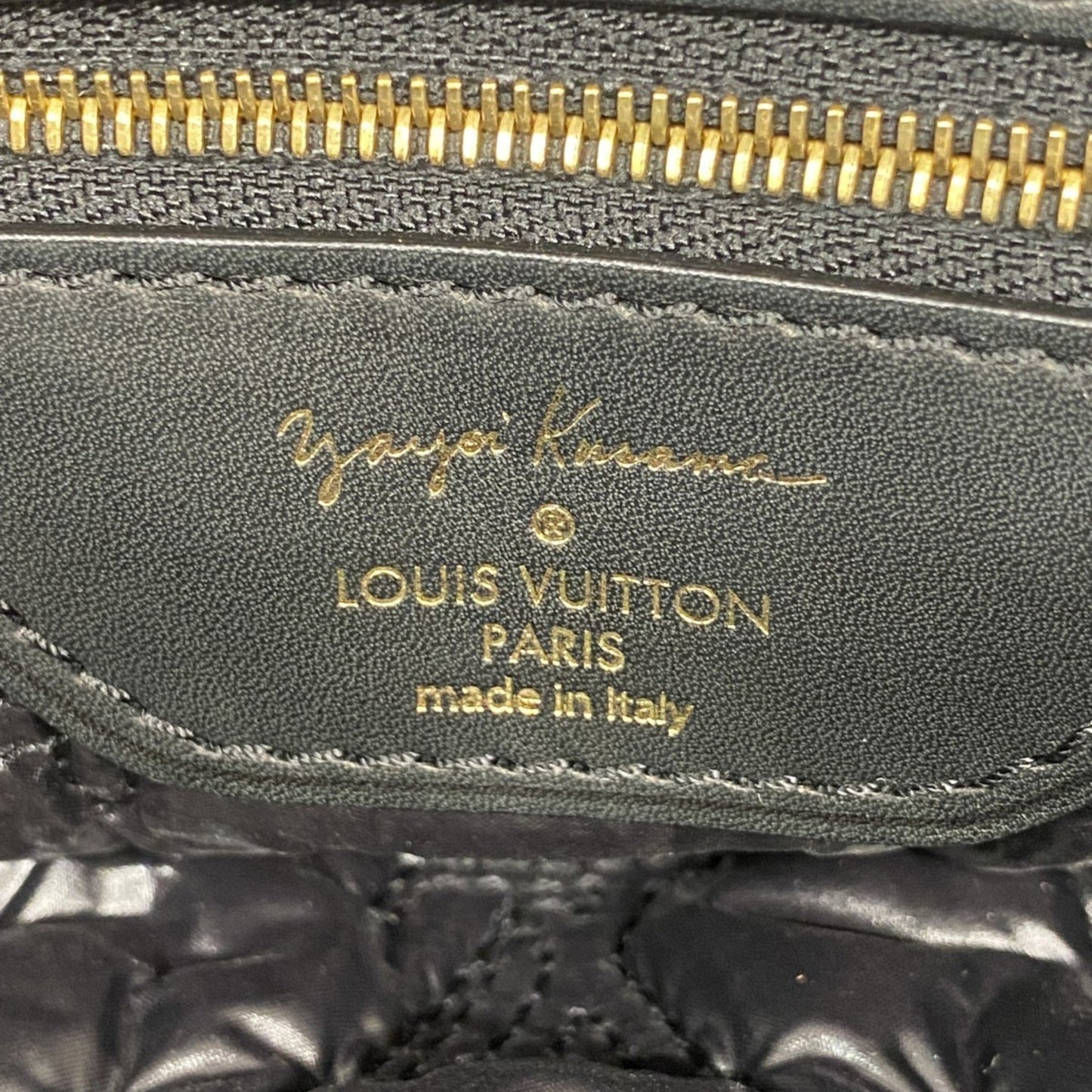 Louis Vuitton Nylon Dot Infinity Handbag