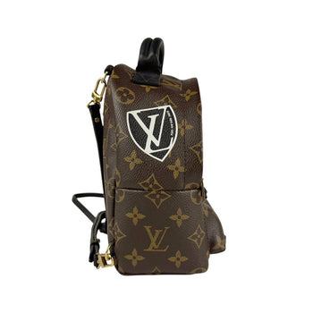 Louis Vuitton Louis Vuitton Backpack Monogram Palm Springs Canvas Brown Multicolor Gold