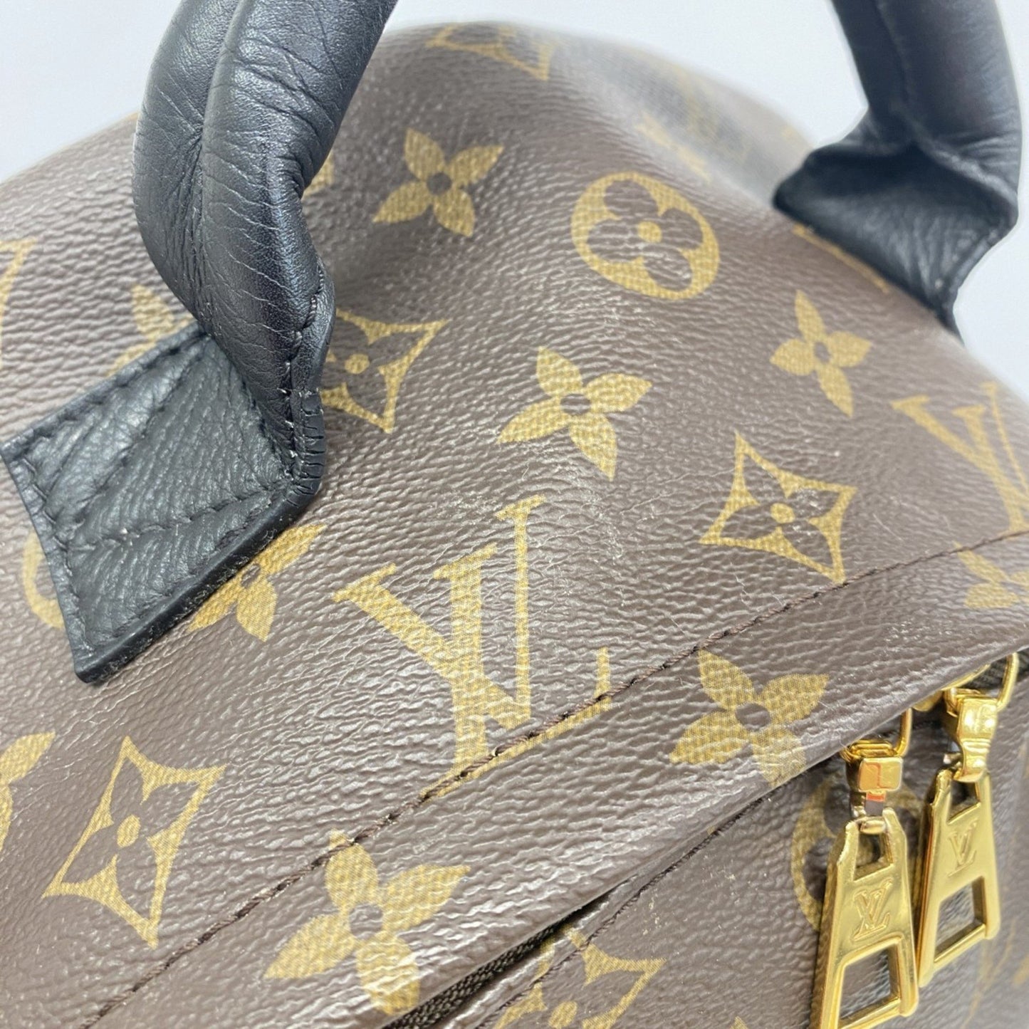 Louis Vuitton Monogram Palm Springs Backpack Mm M44874 Brown/Black
