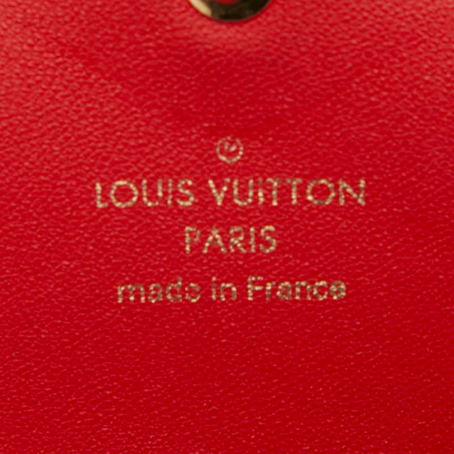 Louis Vuitton Kirigami Pouch