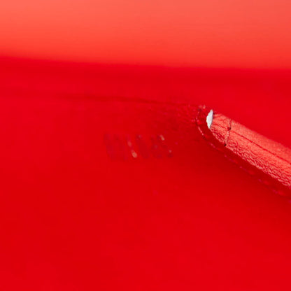 Louis Vuitton Kirigami Pouch