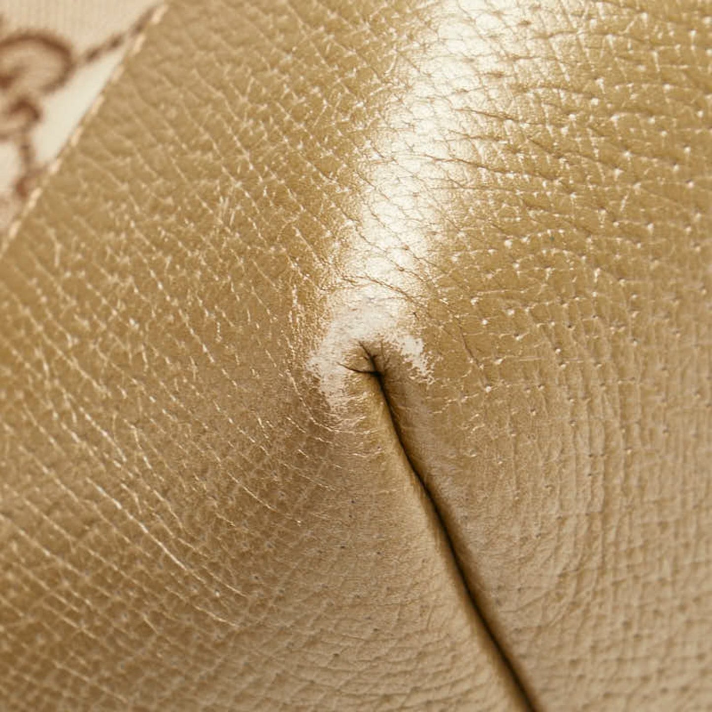 Gucci Gg Canvas Brie Handbag/Shoulder Bag 2Way 353120 Beige Gold Leather