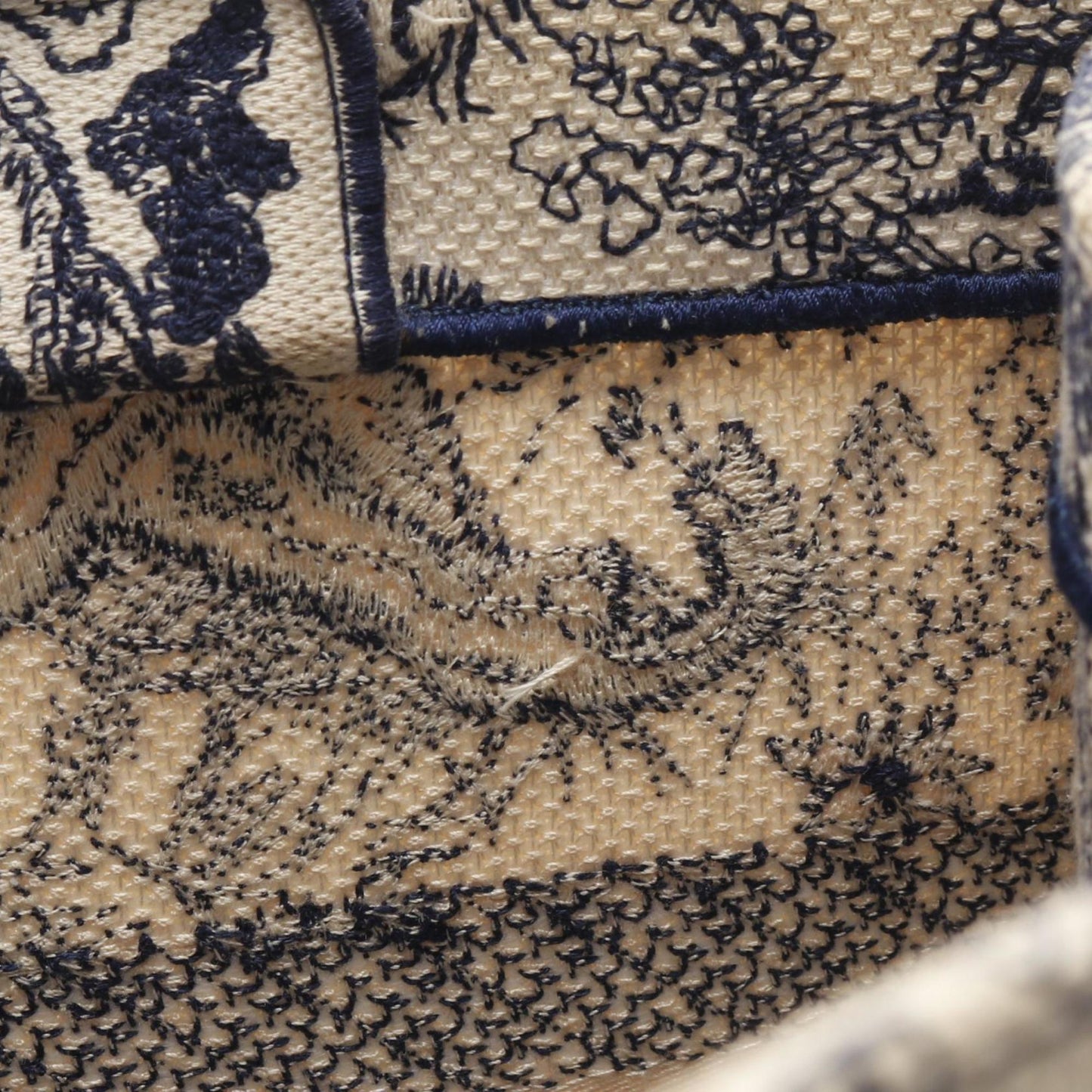 Christian Dior Book Tote Medium Tote Bag