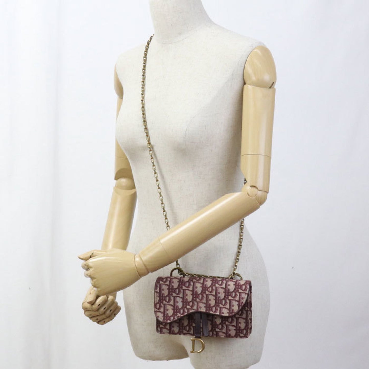 Christian Dior Dior Dior Crossbody Shoulder Bag S5614Ctzq Chain Pouch Small Saddle