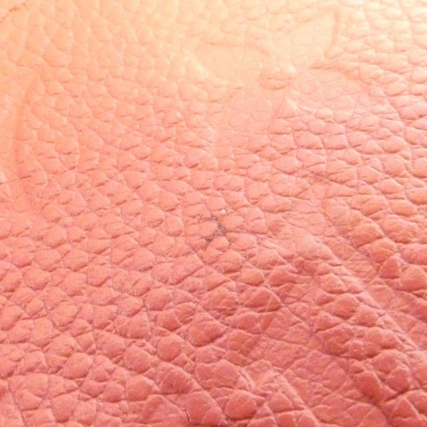 Louis Vuitton Monogram Empreinte Portefeuille Sarah M61801 Wallet