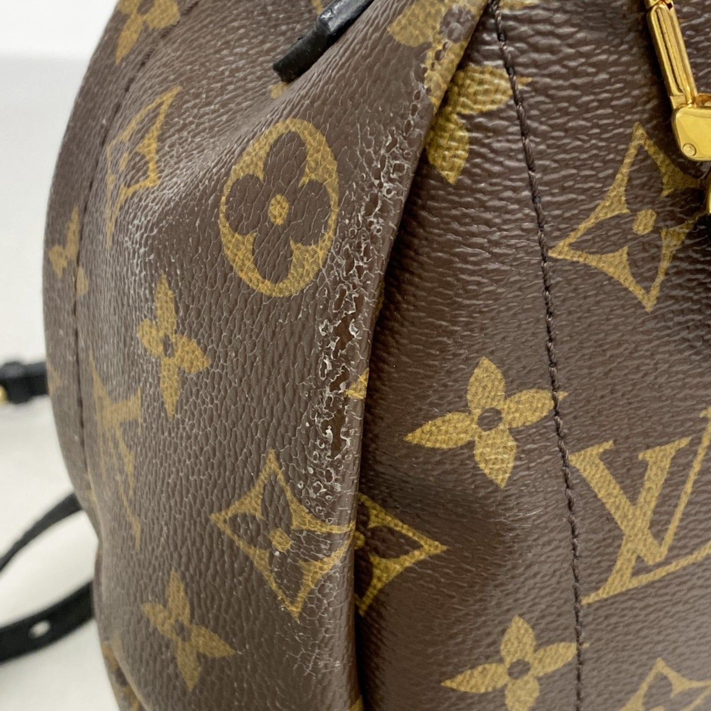 Louis Vuitton Monogram Palm Springs Backpack Mini M41562 Brown