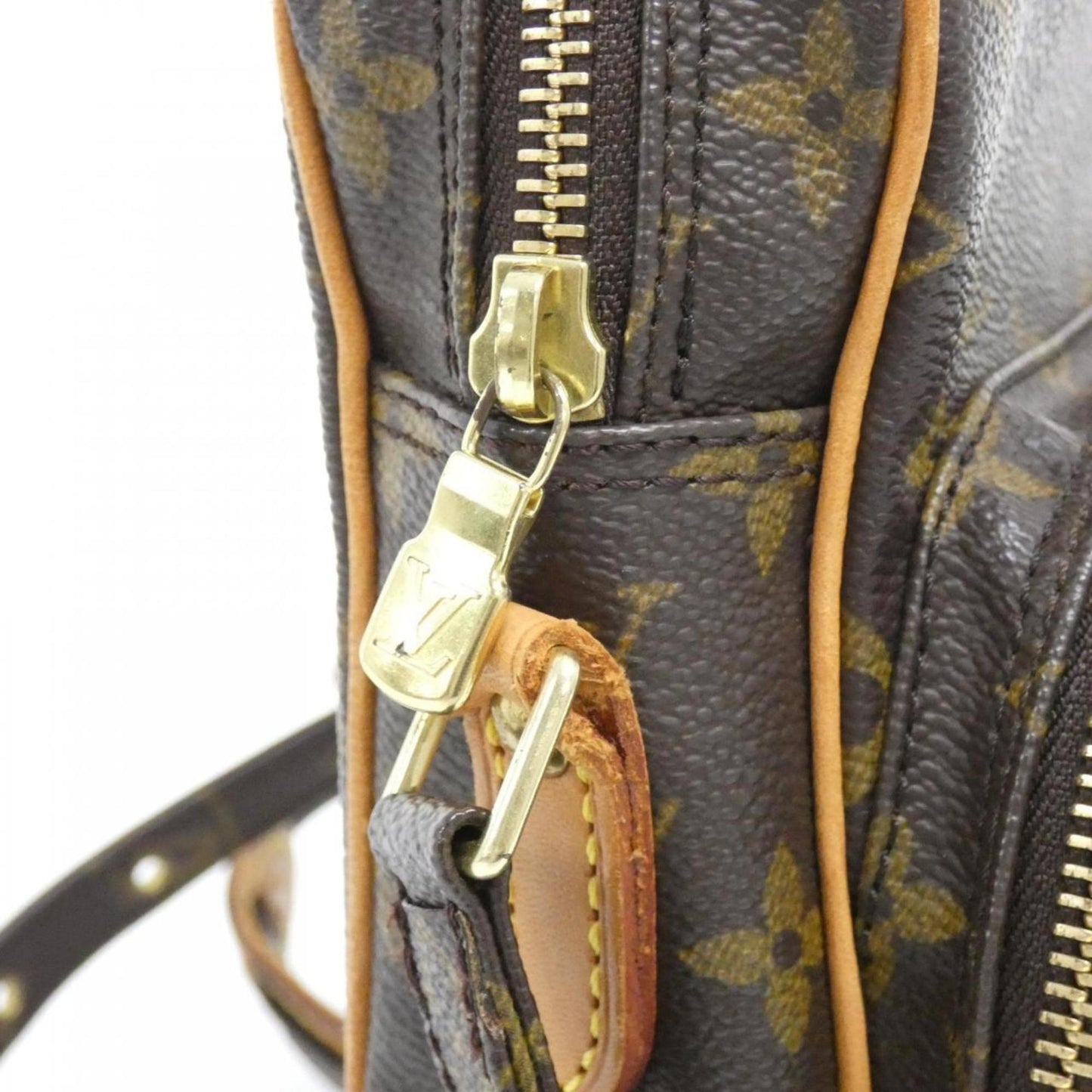 Louis Vuitton Monogram Amazon M45236 Shoulder Bag