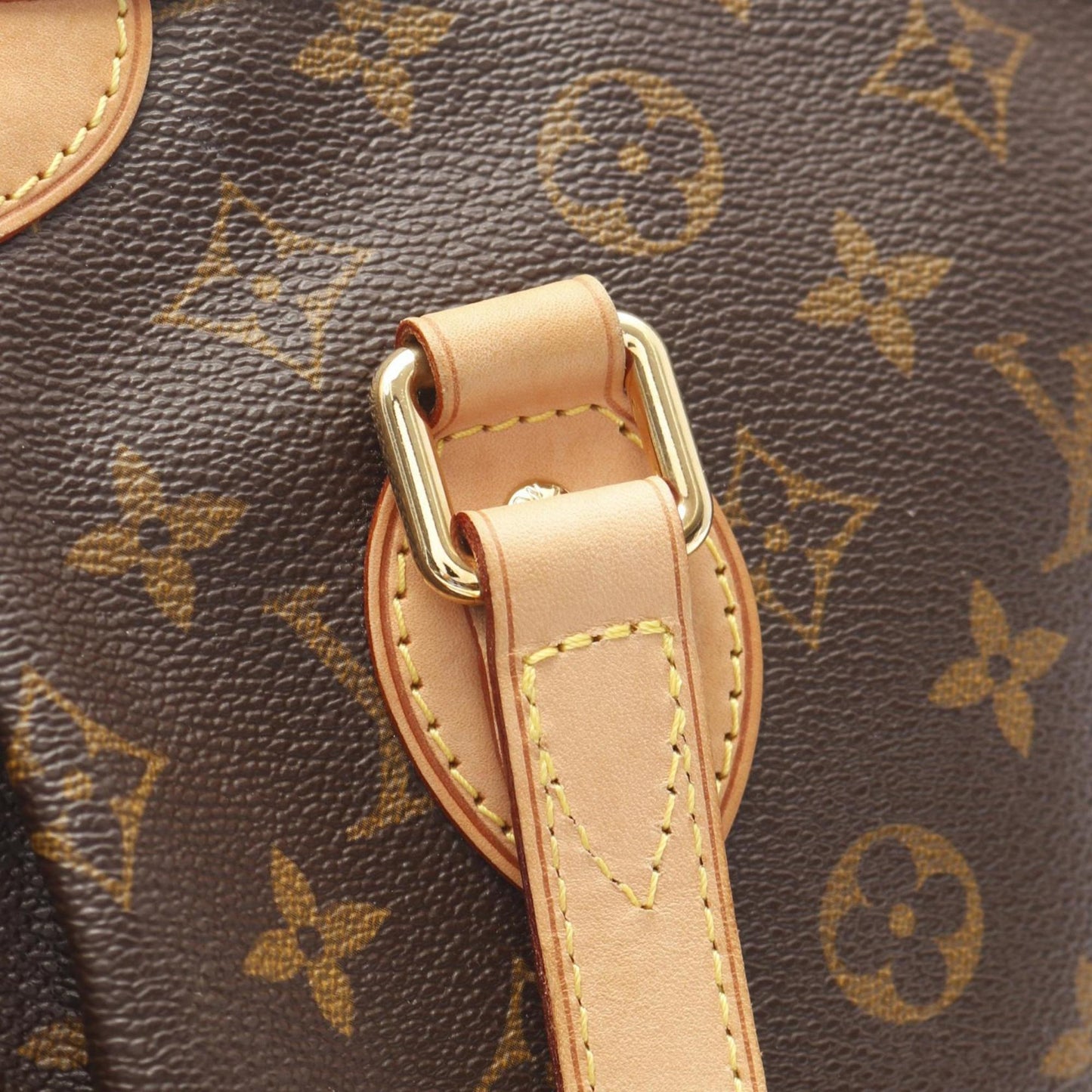 Louis Vuitton Palermo Pm Monogram Handbag