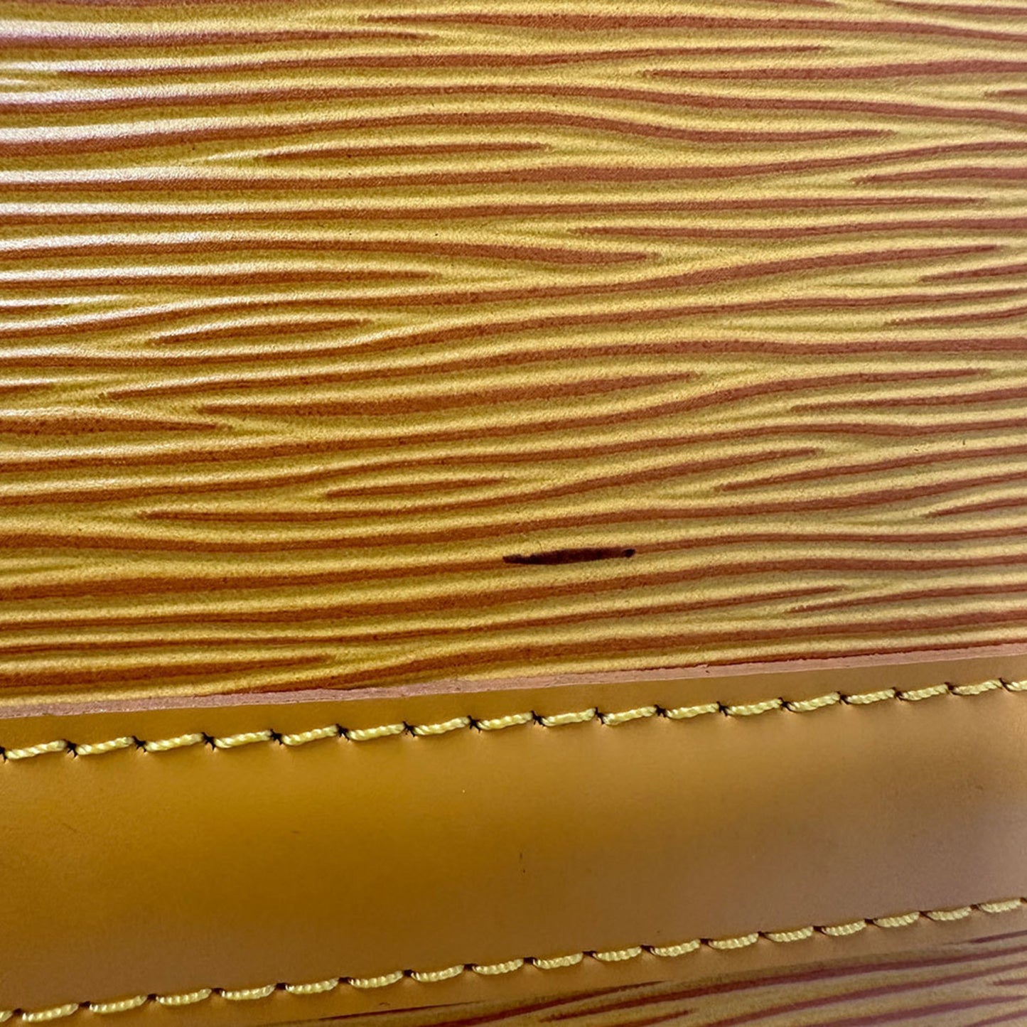 Louis Vuitton Louis Vuitton Bag Epi