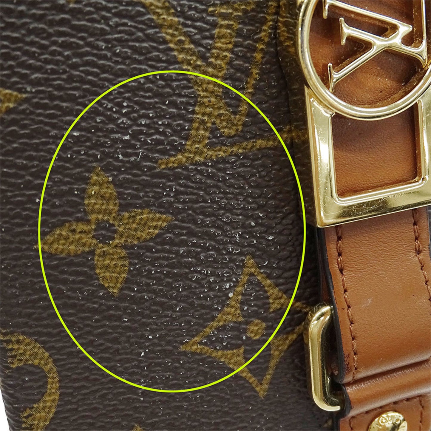 Louis Vuitton Monogram Canvas Dauphine Bumper Case For Iphone 12/12 Pro