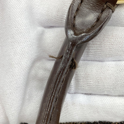 Louis Vuitton Damier Saleya Pm Handbag N51183 Ebene