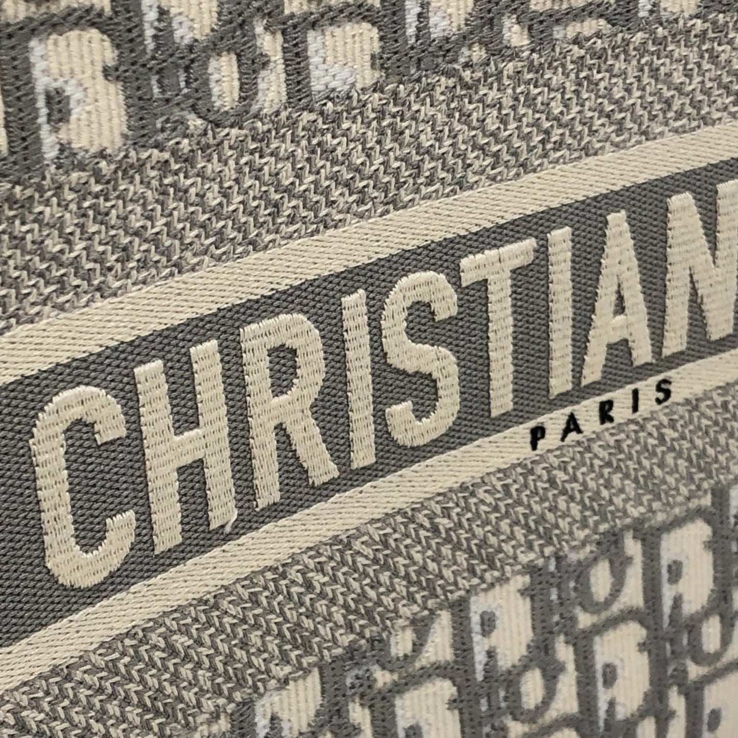 Christian Dior Dior Book Tote Medium Handbag