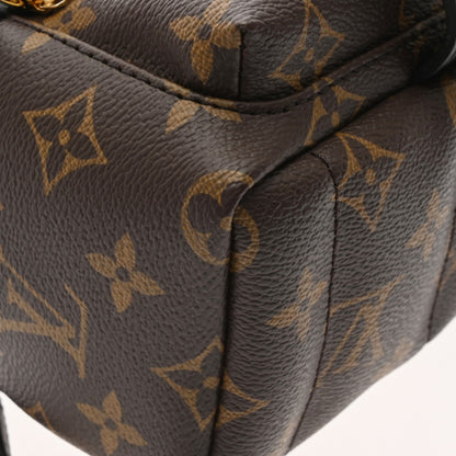 Louis Vuitton Louis Vuitton Monogram Palm Springs Backpack World Tour M42971