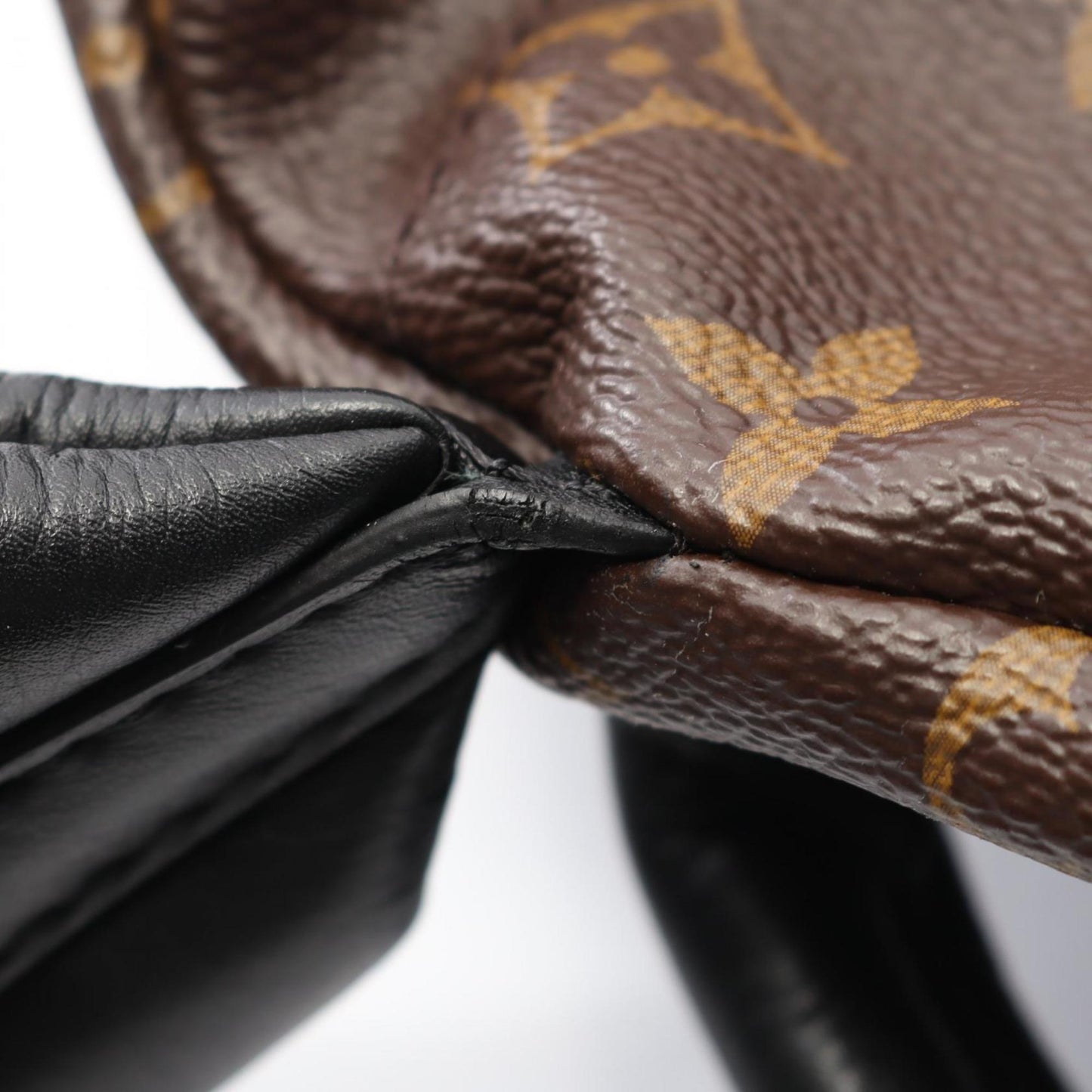 Louis Vuitton Palm Springs Backpack Pm