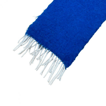 Loewe Scarf Wool, Nylon, Mohair Blue Anagram Multicolored Mohair Stole Mens