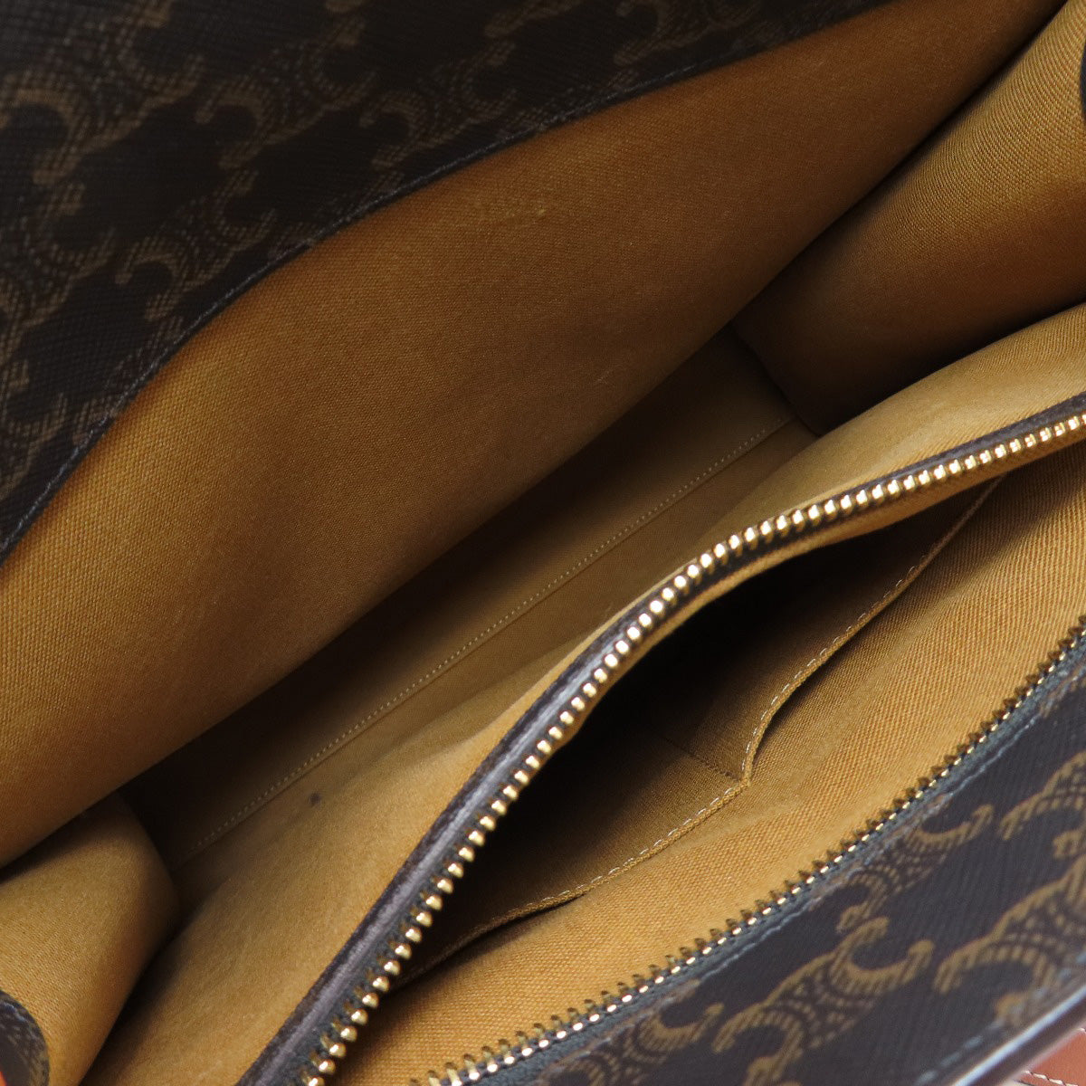 Celine Tote Bag Pvc Brown Vertical Hippo Triomphe Women