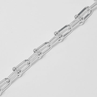 Tiffany&Co. Bracelet Silver925 Silver Hardware Large Link