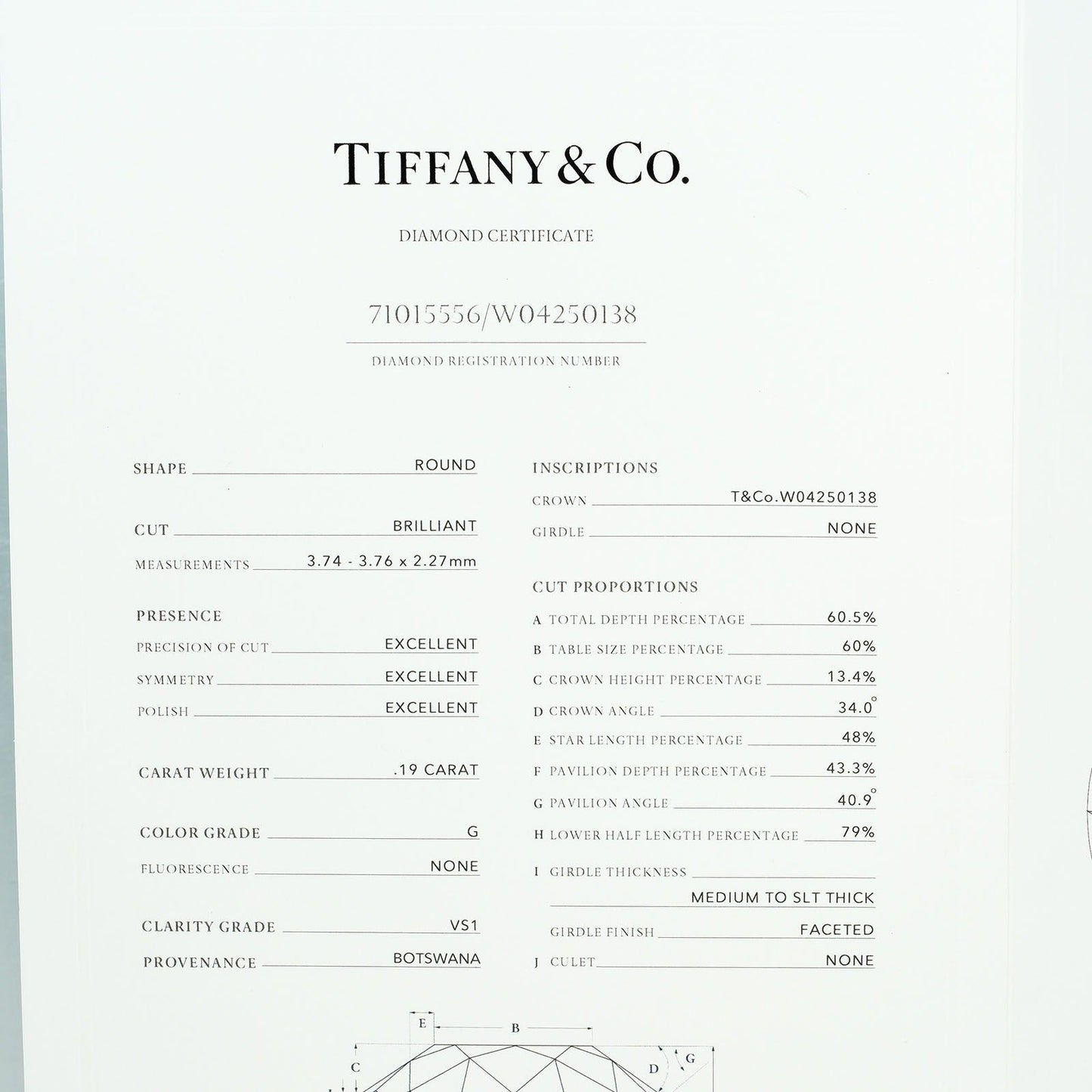 Tiffany&Co. Necklace 0.19Ct Vs1/G/3Ex Pt950Platinum, Diamond Silver By The Yard Women