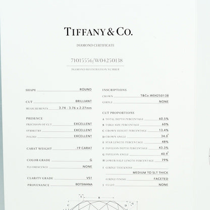 Tiffany&Co. Necklace 0.19Ct Vs1/G/3Ex Pt950Platinum, Diamond Silver By The Yard Women