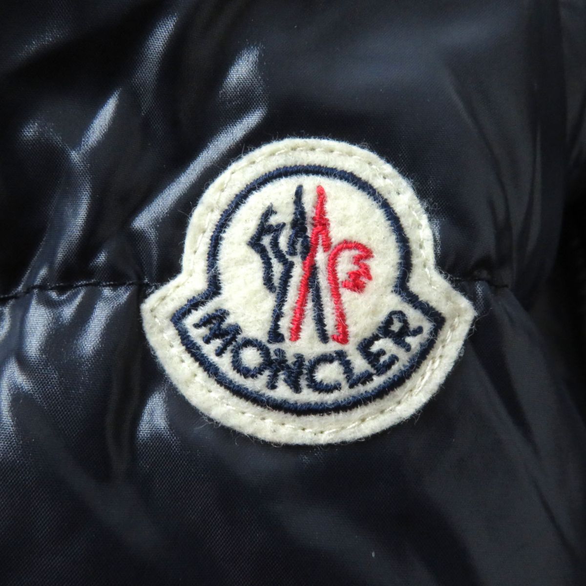 Moncler Down Coat Main