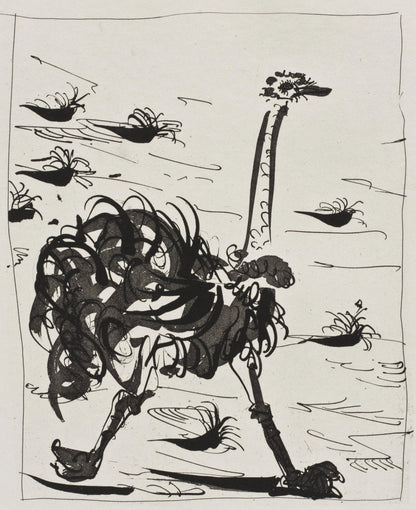 Pablo Picasso, L'Autruche, Histoire Naturelle, Lithograph