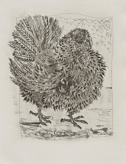 Pablo Picasso, Le Dindon, Histoire Naturelle, Lithograph