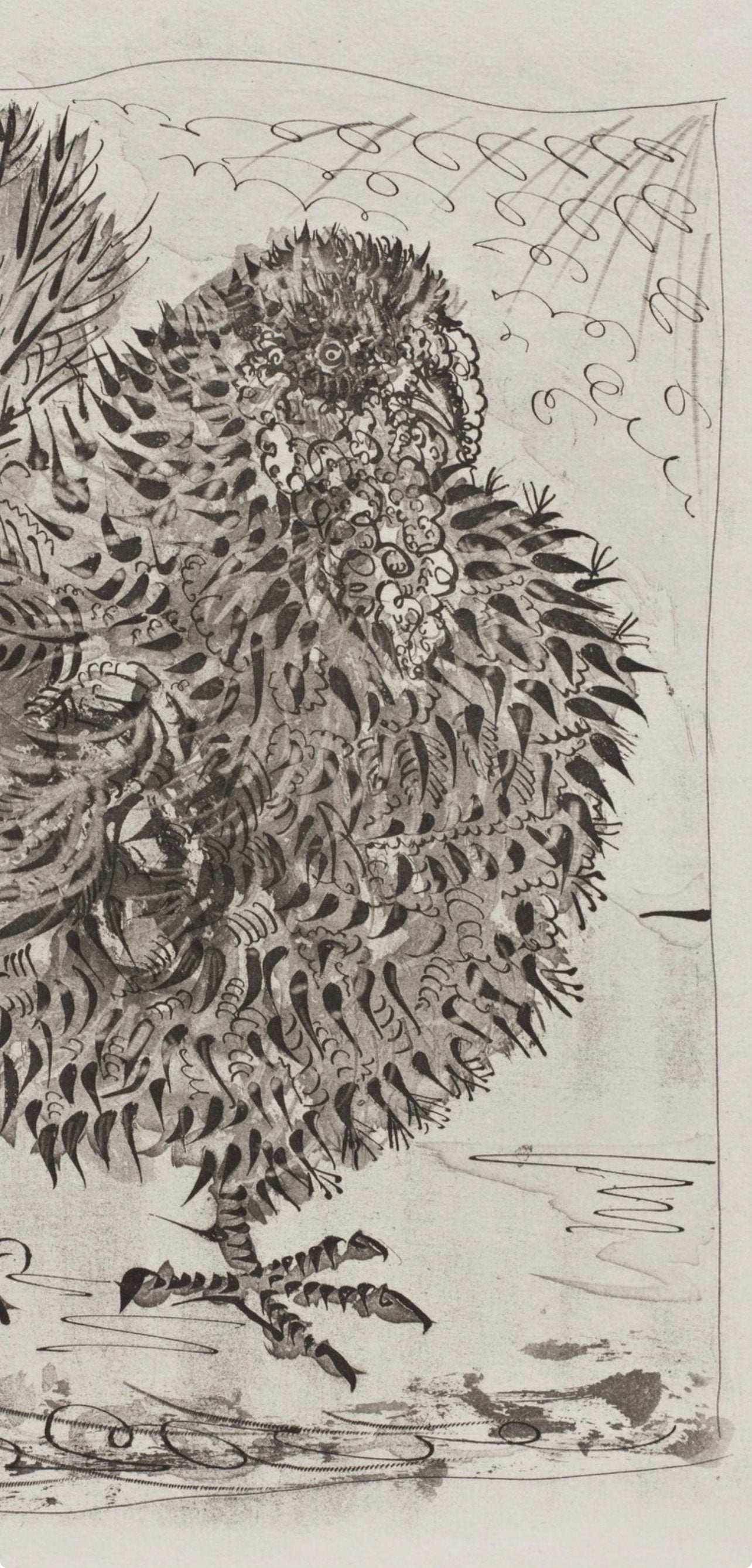 Pablo Picasso, Le Dindon, Histoire Naturelle, Lithograph