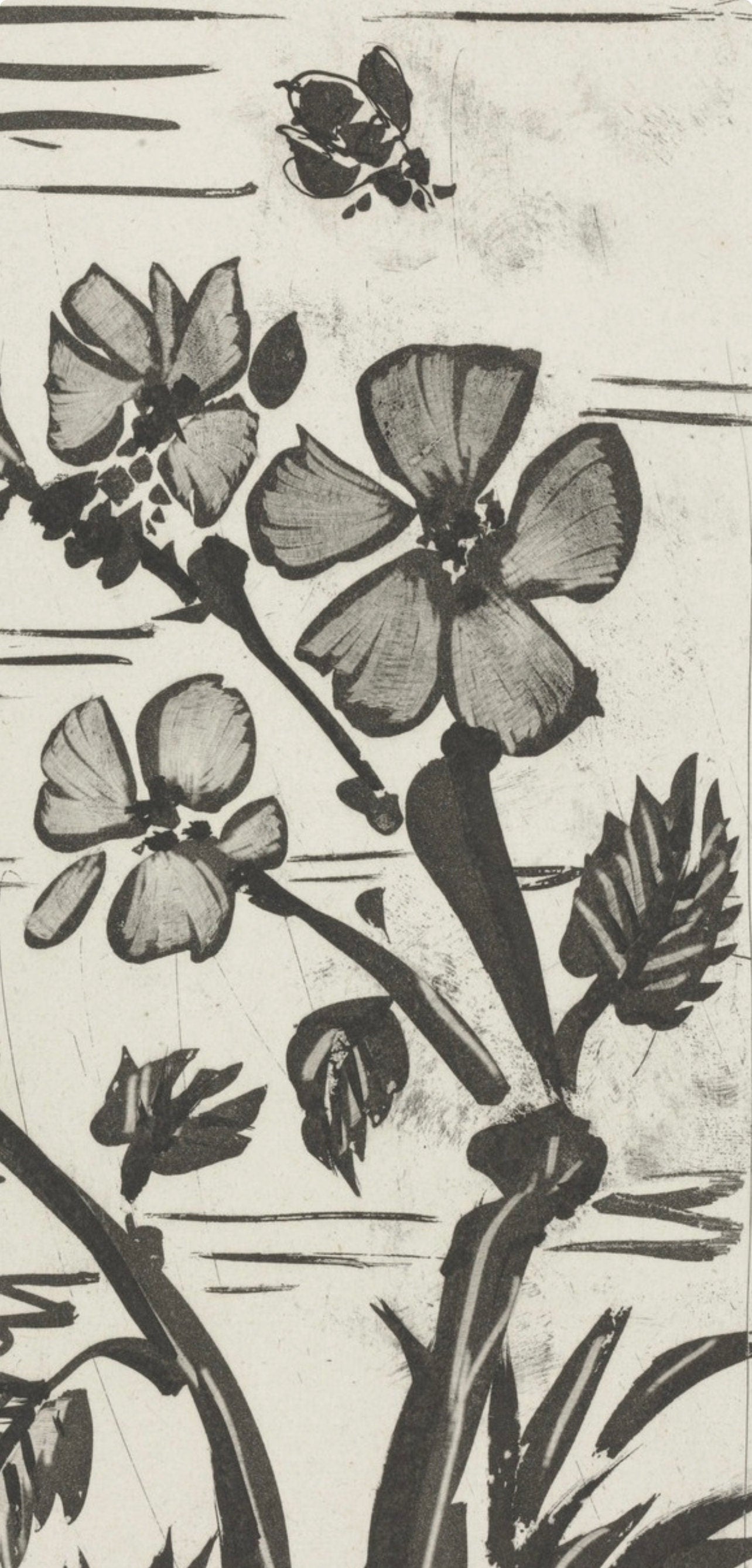 Pablo Picasso, L'Abeille, Histoire Naturelle, Lithograph