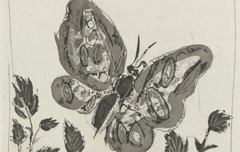 Pablo Picasso, Le Papillon, Histoire Naturelle, Lithograph