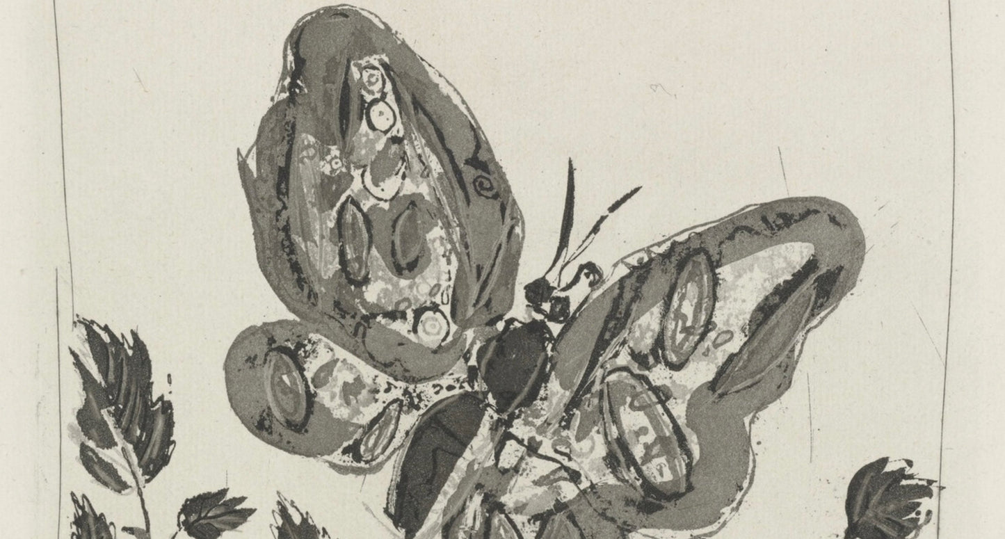 Pablo Picasso, Le Papillon, Histoire Naturelle, Lithograph