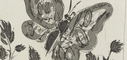 Pablo Picasso, Le Papillon, Histoire Naturelle, Lithograph