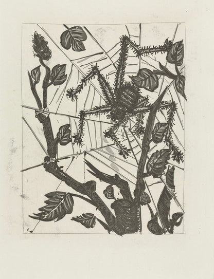 Pablo Picasso, L'Araigne, Histoire Naturelle, Lithograph