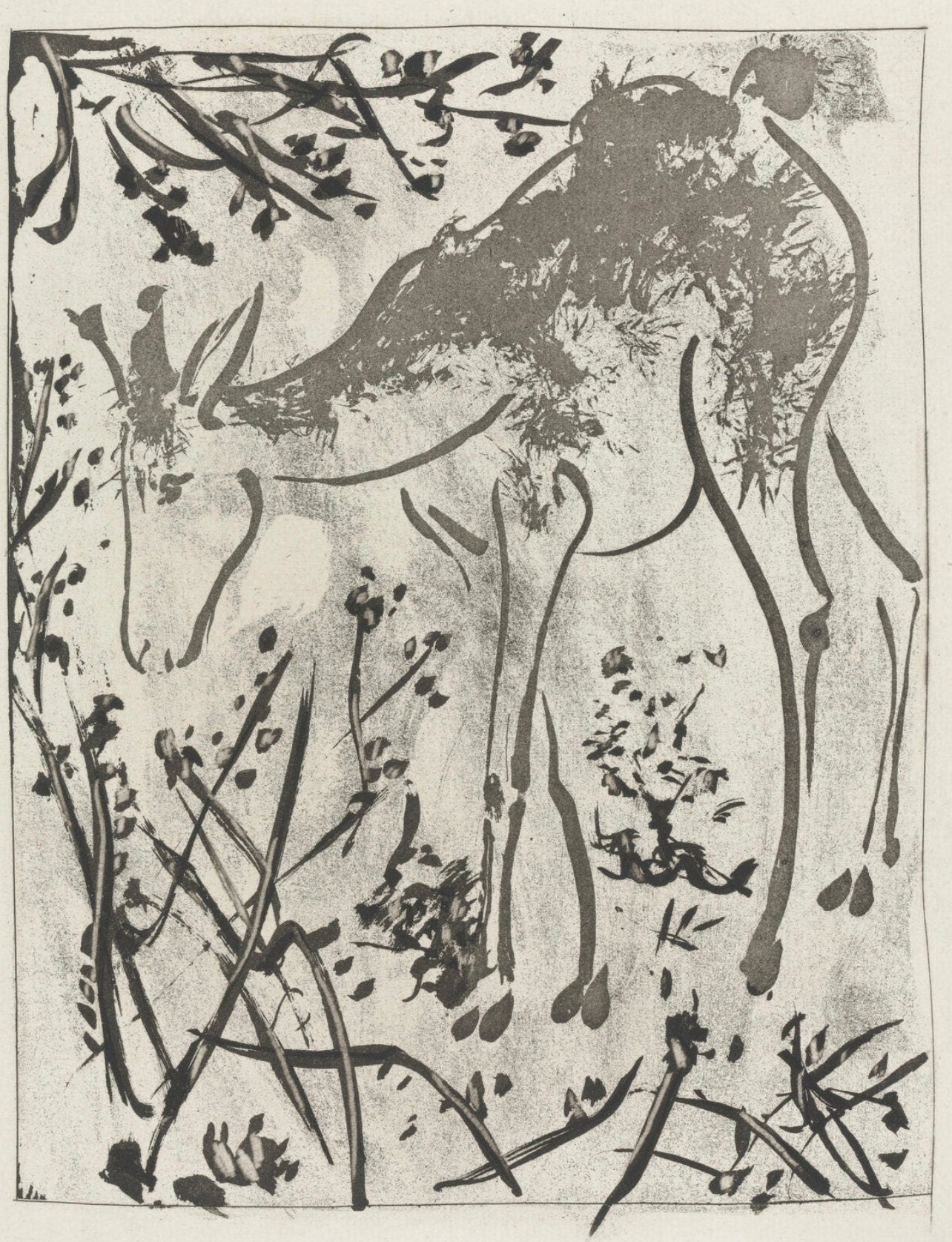Pablo Picasso, Le Cerf, Histoire Naturelle, Lithograph