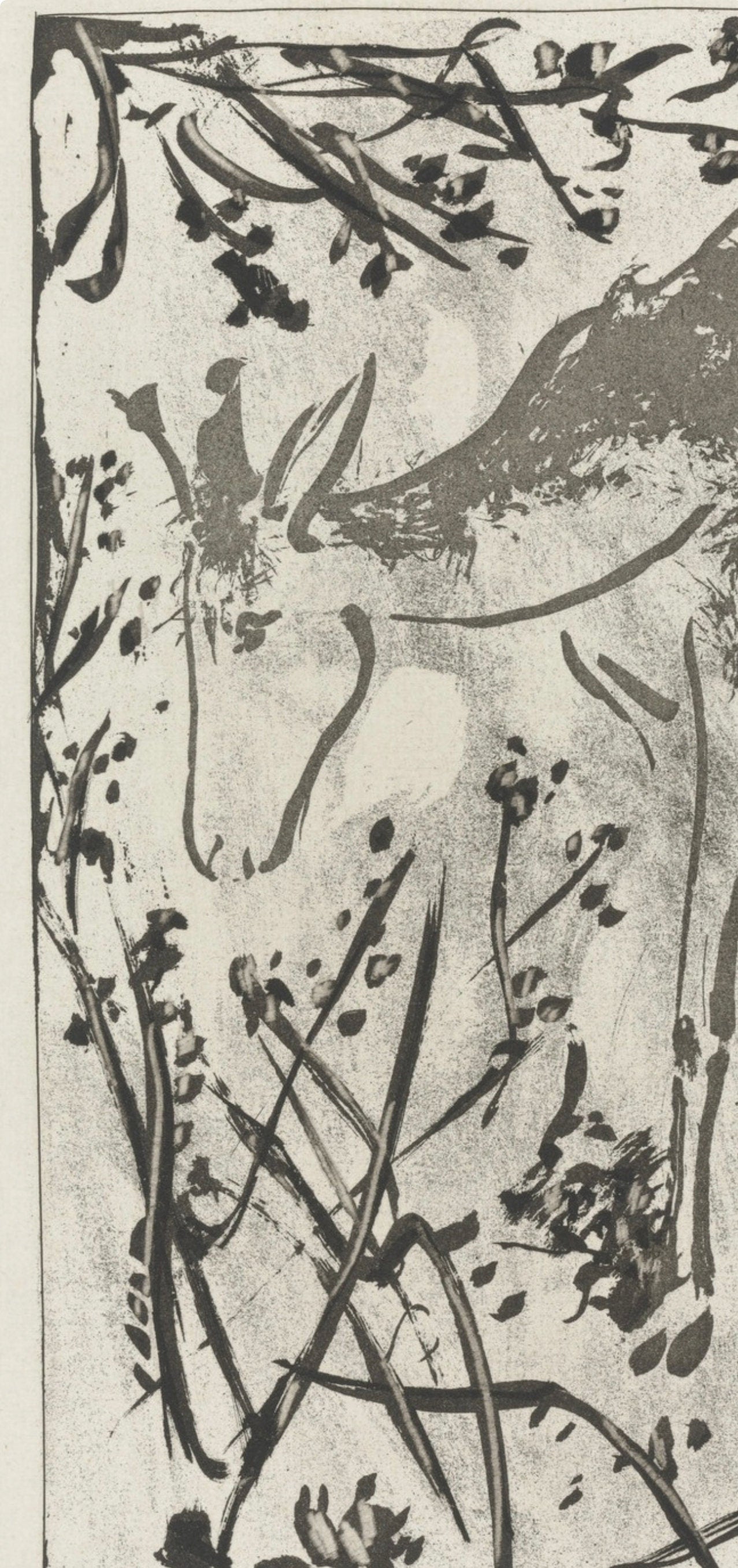 Pablo Picasso, Le Cerf, Histoire Naturelle, Lithograph