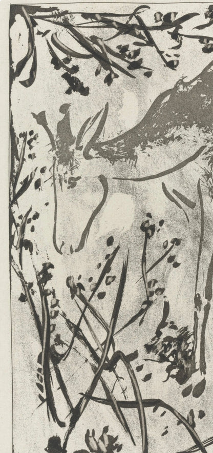 Pablo Picasso, Le Cerf, Histoire Naturelle, Lithograph