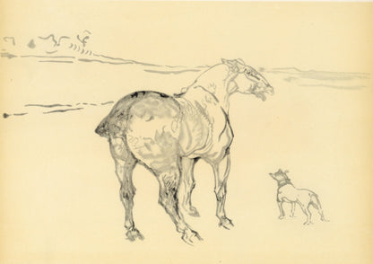 Henri De Toulouse-Lautrec, Un Petit Cob, The Circus By Toulouse-Lautrec, Lithograph