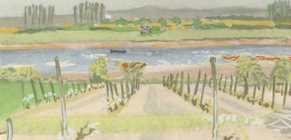 Maurice Brianchon, Une Vigne De La Doulce France, Vins, Fleurs Et Flammes, Lithograph
