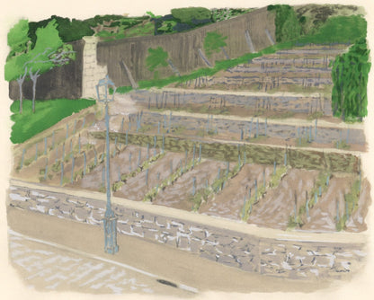 Maurice Brianchon, La Vigne De Paris, Vins, Fleurs Et Flammes, Lithograph