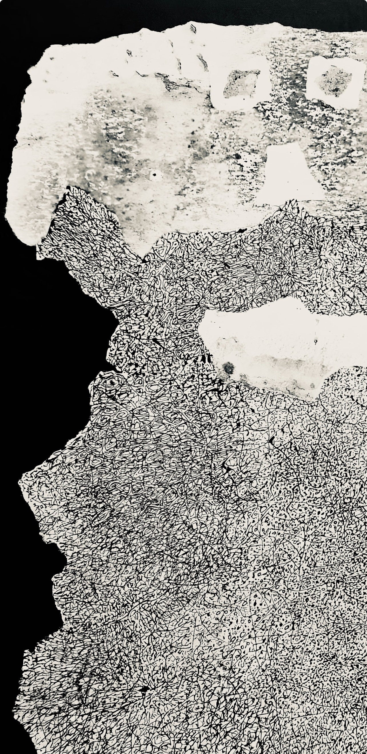 Jean Dubuffet, Composition (Webel 775-779), La Fleur De Barbe, Phototype