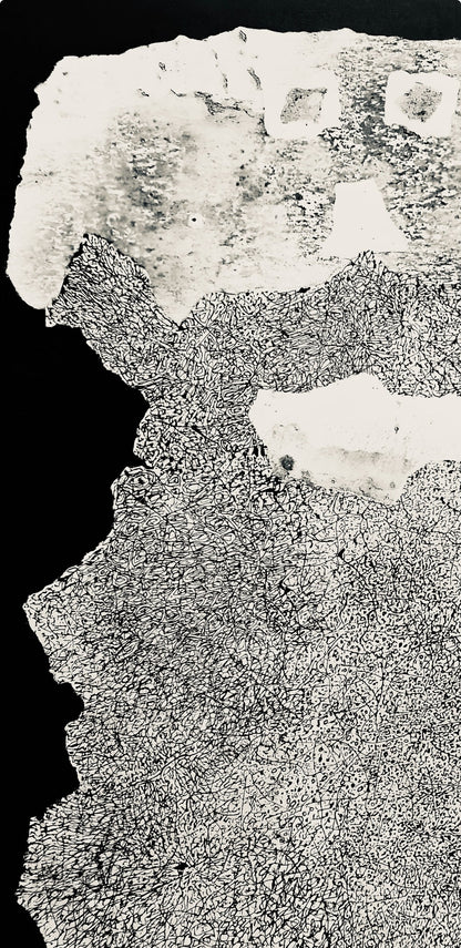 Jean Dubuffet, Composition (Webel 775-779), La Fleur De Barbe, Phototype