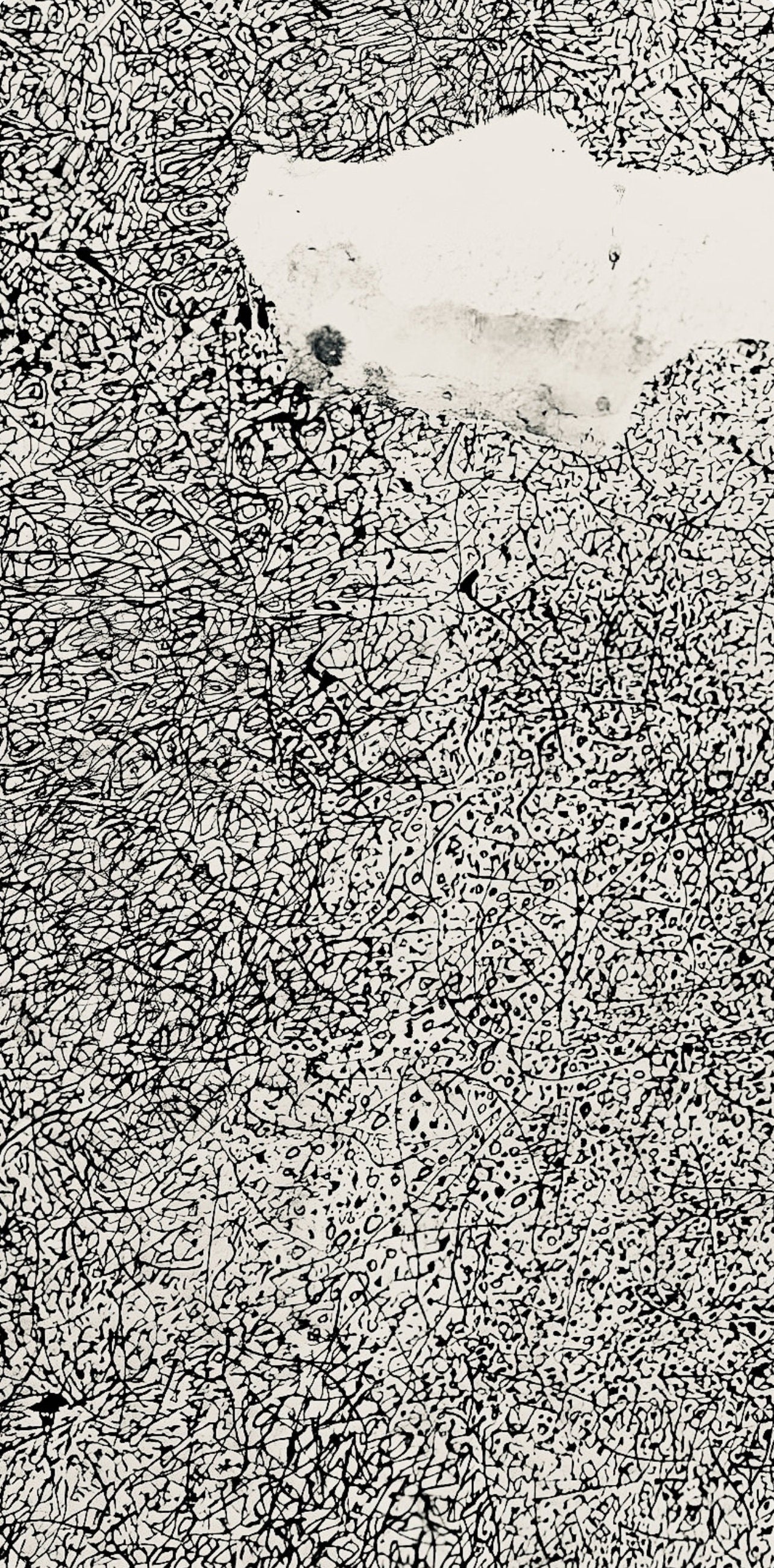 Jean Dubuffet, Composition (Webel 775-779), La Fleur De Barbe, Phototype