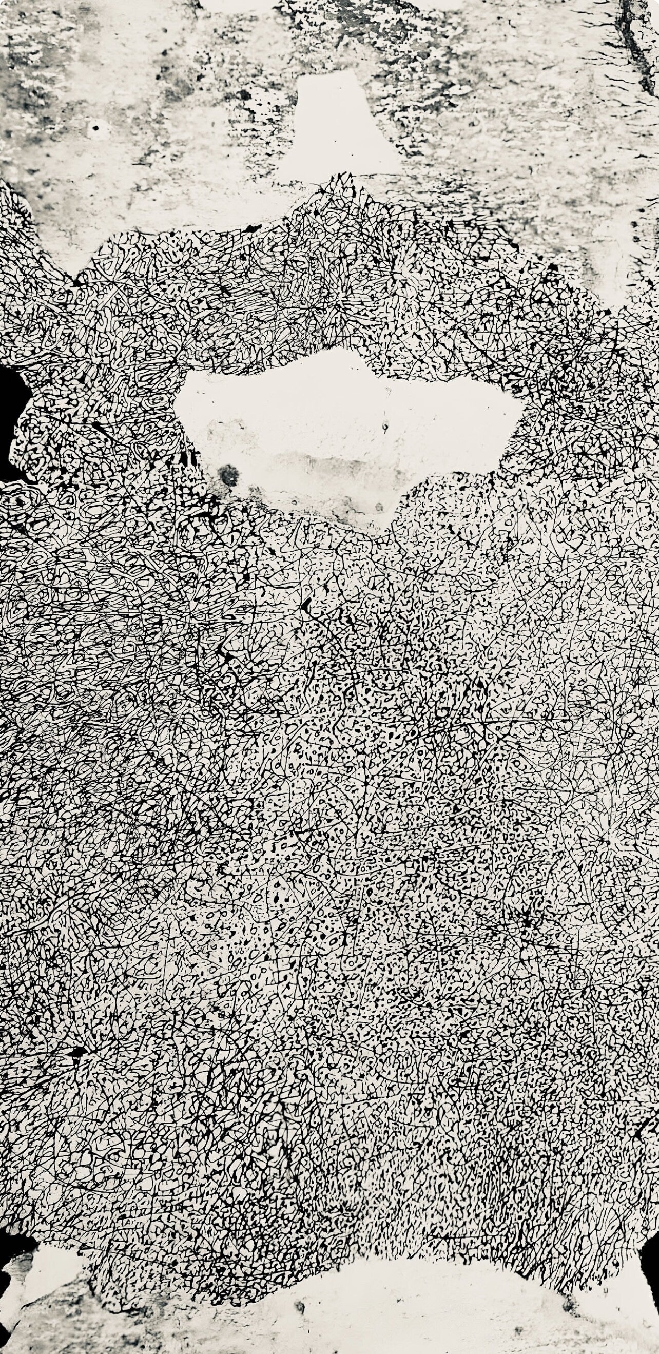 Jean Dubuffet, Composition (Webel 775-779), La Fleur De Barbe, Phototype