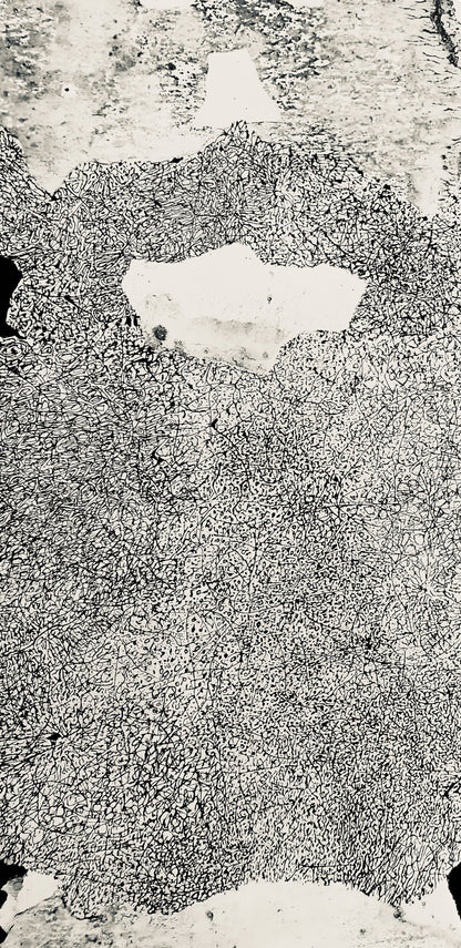 Jean Dubuffet, Composition (Webel 775-779), La Fleur De Barbe, Phototype