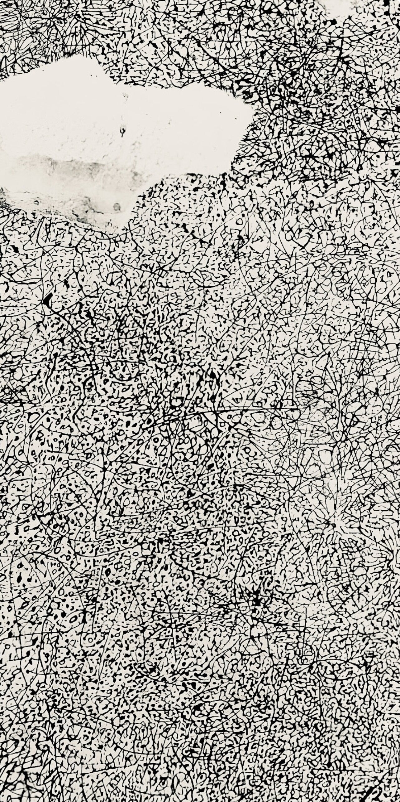 Jean Dubuffet, Composition (Webel 775-779), La Fleur De Barbe, Phototype