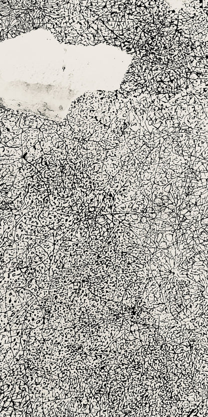 Jean Dubuffet, Composition (Webel 775-779), La Fleur De Barbe, Phototype