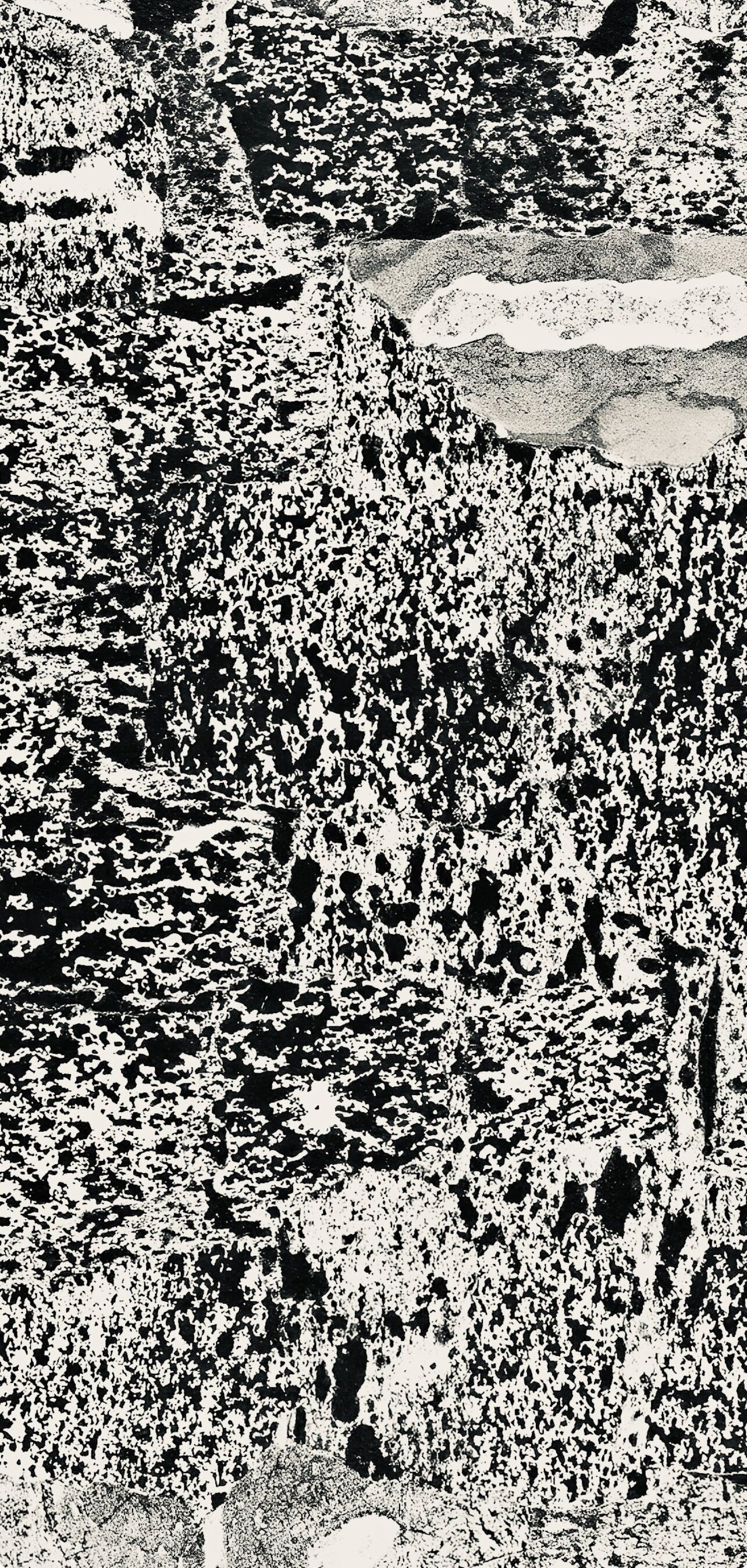 Jean Dubuffet, Composition (Webel 775-779), La Fleur De Barbe, Phototype