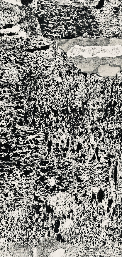 Jean Dubuffet, Composition (Webel 775-779), La Fleur De Barbe, Phototype