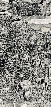 Jean Dubuffet, Composition (Webel 775-779), La Fleur De Barbe, Phototype